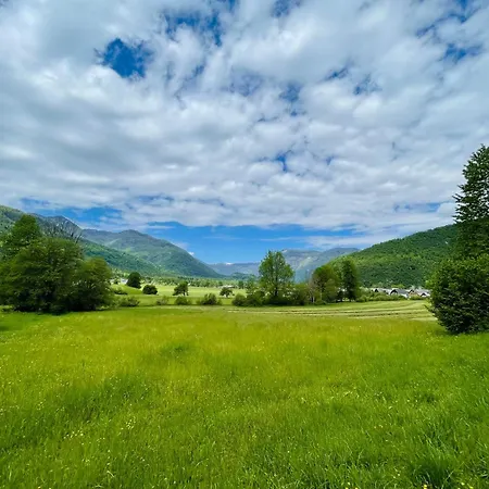 아파트 Barbara 보히니